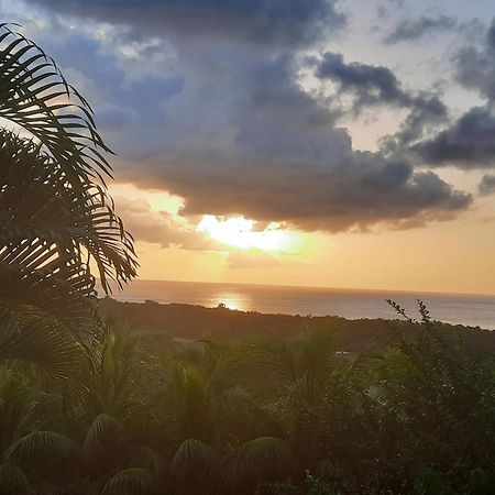 Oasis De Grande Anse Villa Deshaies Bagian luar foto