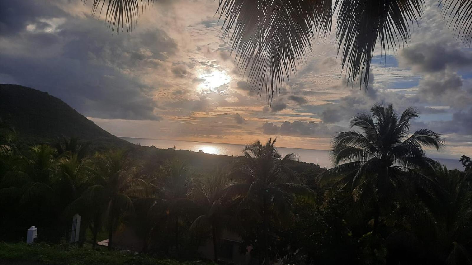 Oasis De Grande Anse Villa Deshaies Bagian luar foto