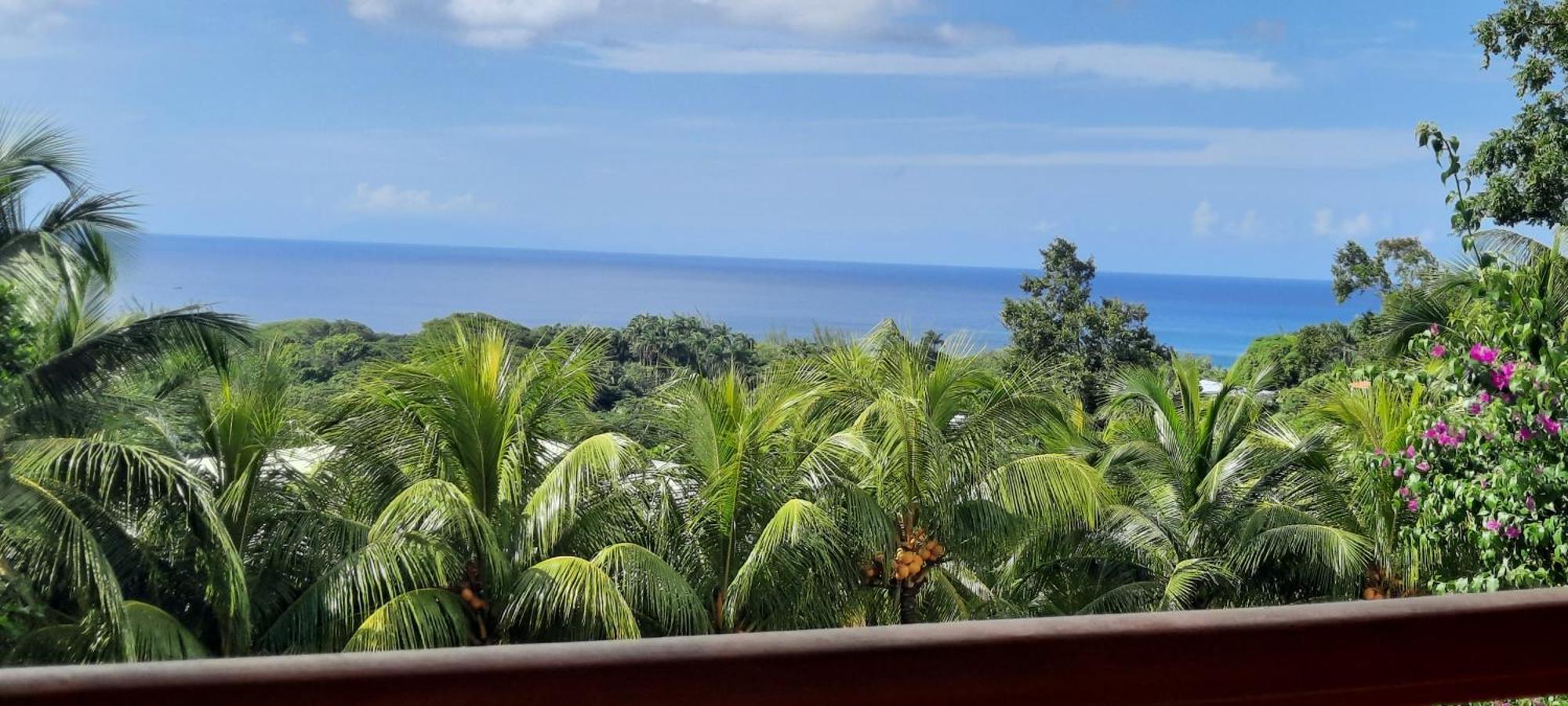 Oasis De Grande Anse Villa Deshaies Bagian luar foto