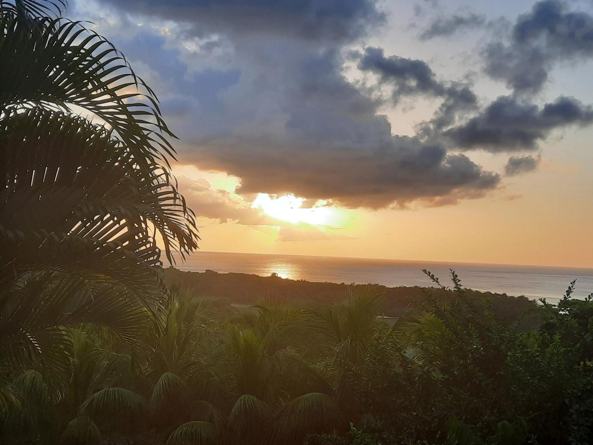 Oasis De Grande Anse Villa Deshaies Bagian luar foto