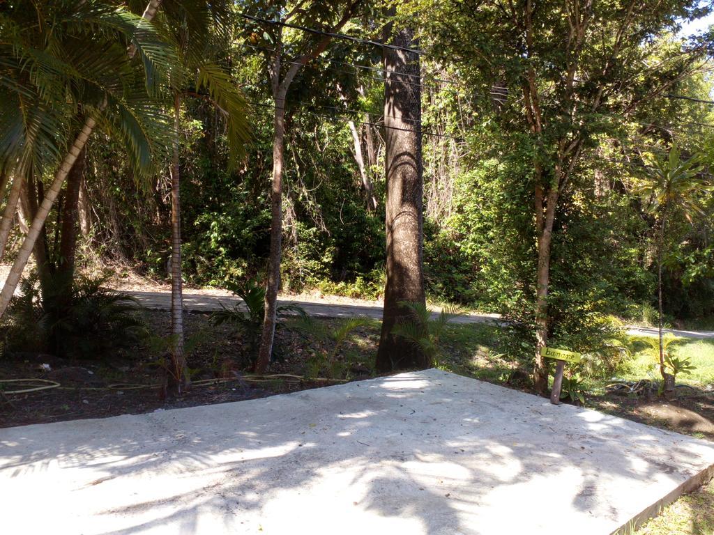 Oasis De Grande Anse Villa Deshaies Bagian luar foto