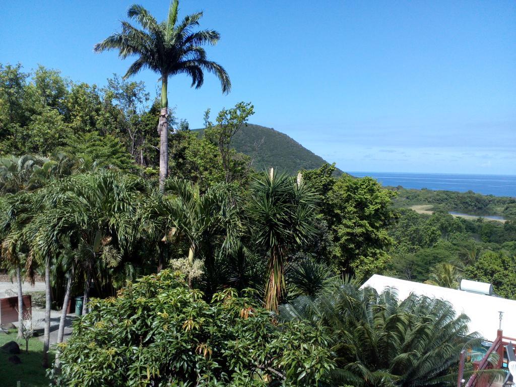 Oasis De Grande Anse Villa Deshaies Bagian luar foto
