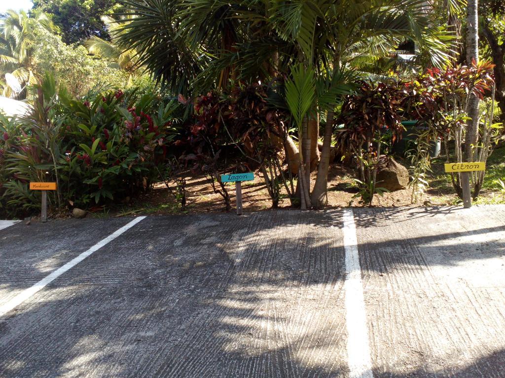 Oasis De Grande Anse Villa Deshaies Bagian luar foto