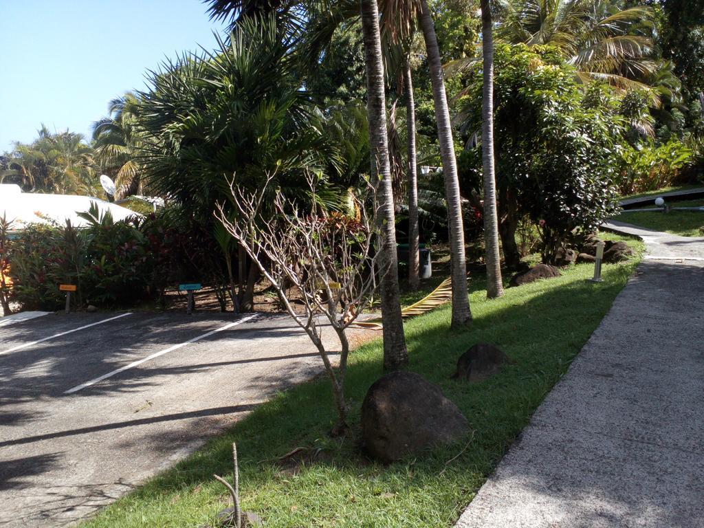 Oasis De Grande Anse Villa Deshaies Bagian luar foto