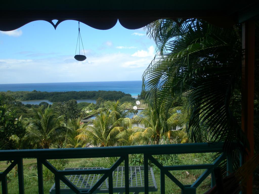 Oasis De Grande Anse Villa Deshaies Bagian luar foto