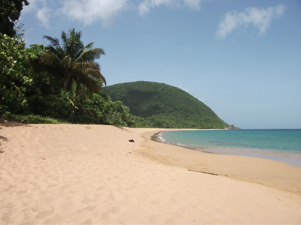 Oasis De Grande Anse Villa Deshaies Ruang foto