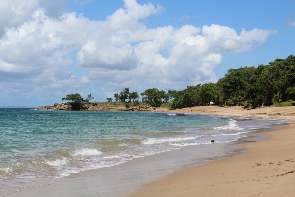 Oasis De Grande Anse Villa Deshaies Bagian luar foto