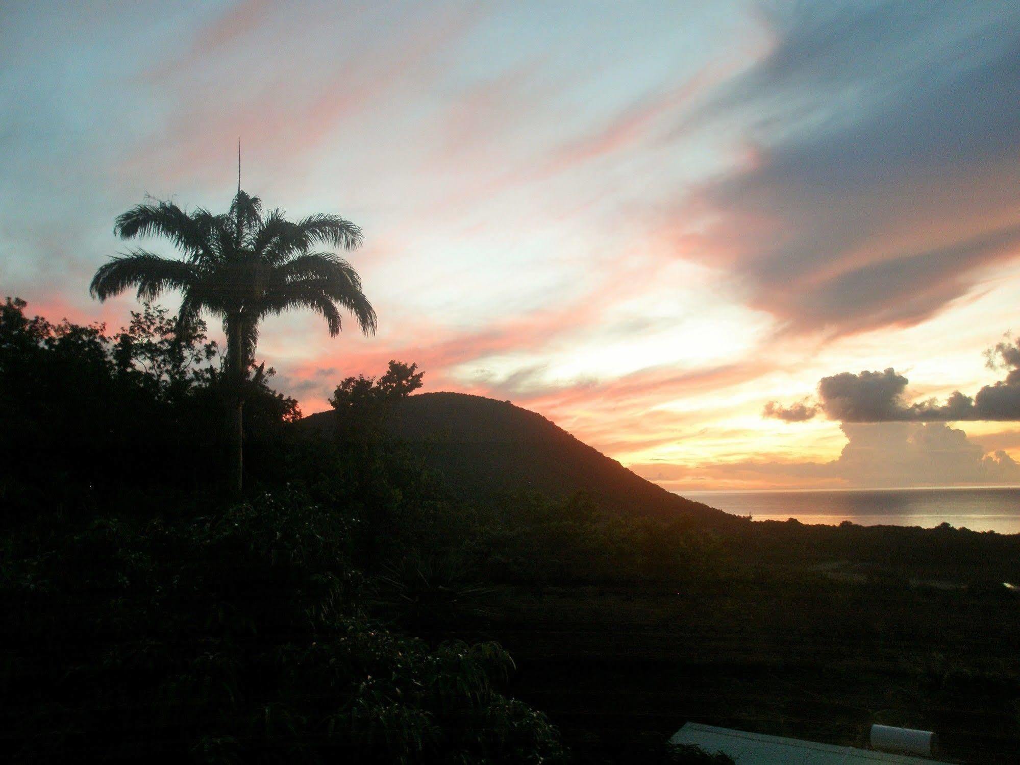 Oasis De Grande Anse Villa Deshaies Bagian luar foto